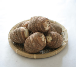 特産化も進められる里芋は、新川の秋の味覚の代表格