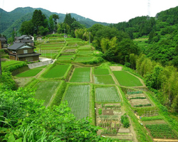 和洋色彩豊かに育つ、となみ野産のフレッシュな野菜たち